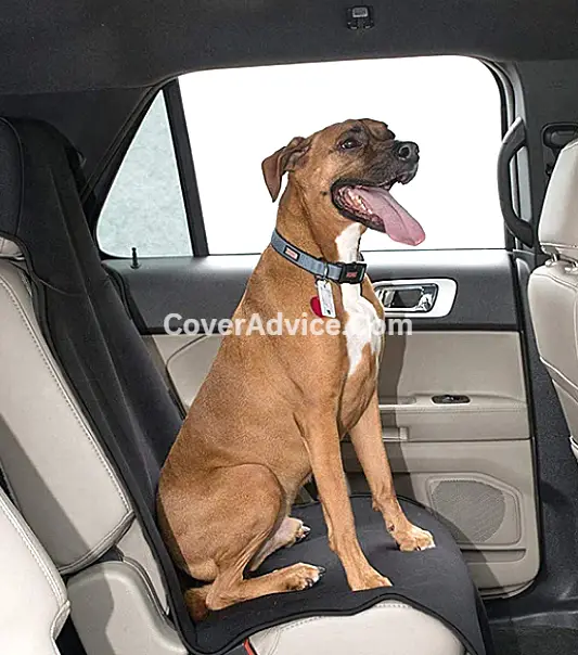 neoprene seat covers for dogs